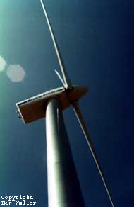 wind turbine to of brooklyn wellington